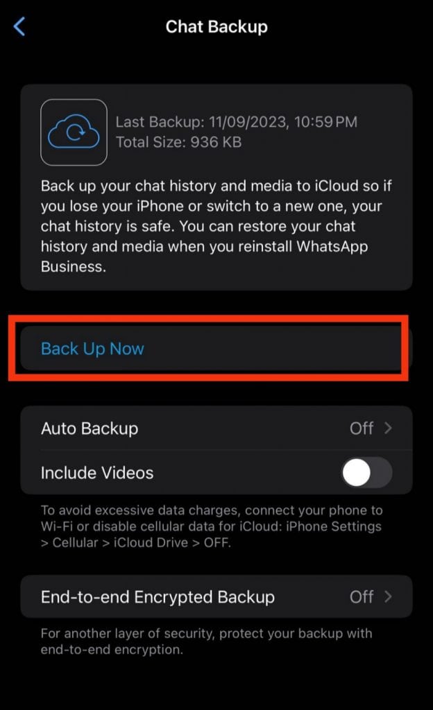 Where Are WhatsApp Audio Files Stored in iPhone? ITGeared