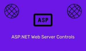 Asp.net Web Server Controls