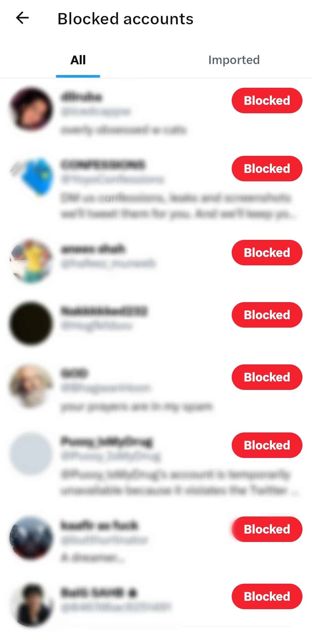 All The Accounts You've Blocked Will Display