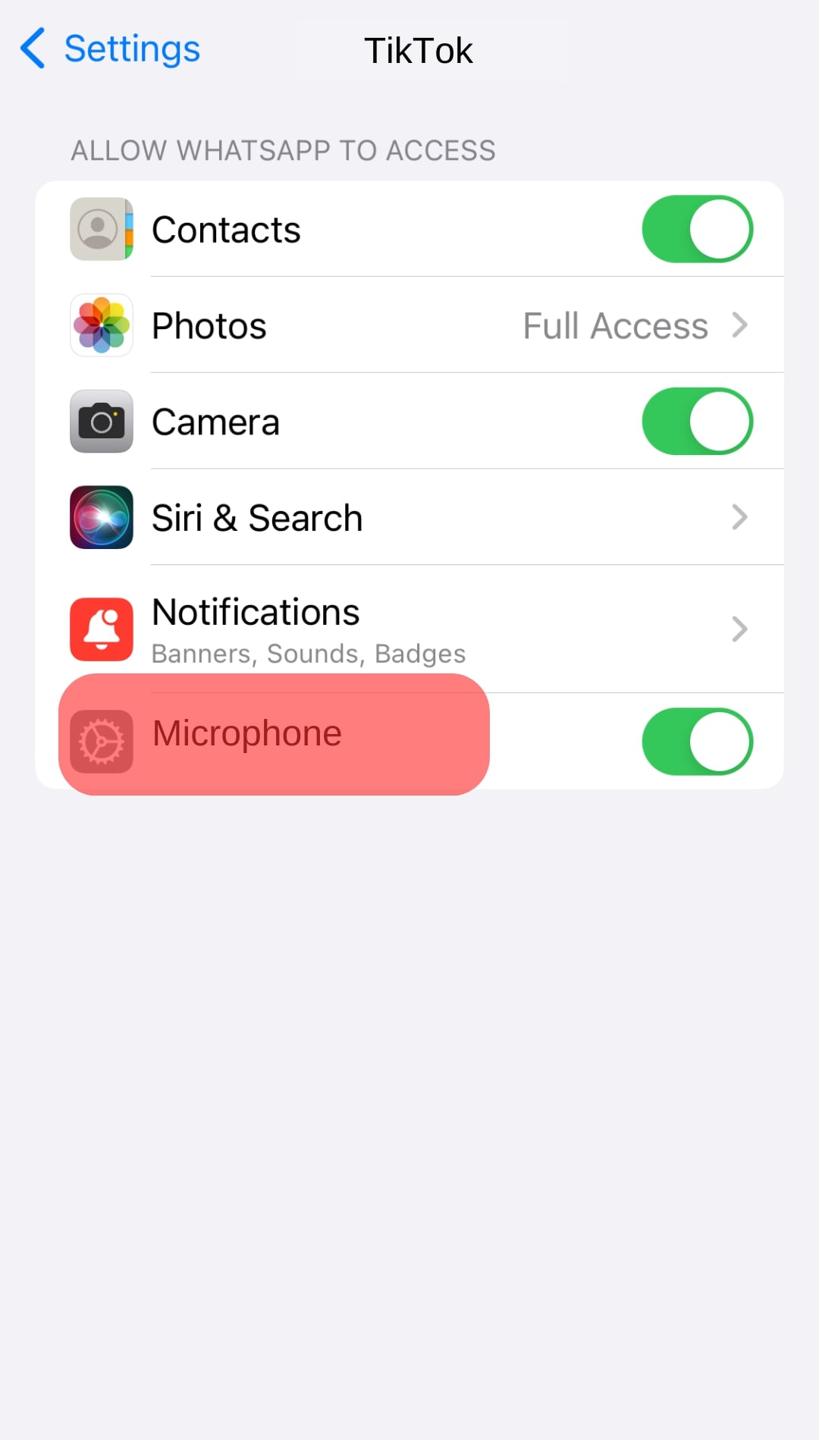 Allow Tiktok To Use Microphone