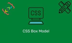 Css Box Model