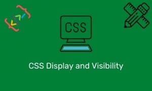 Css Display And Visibility