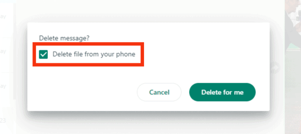 Check The Box For ‘Delete File From Your Phone