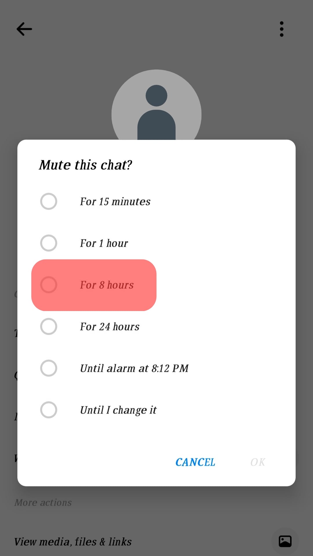 Choose How Long To Mute The Conversation