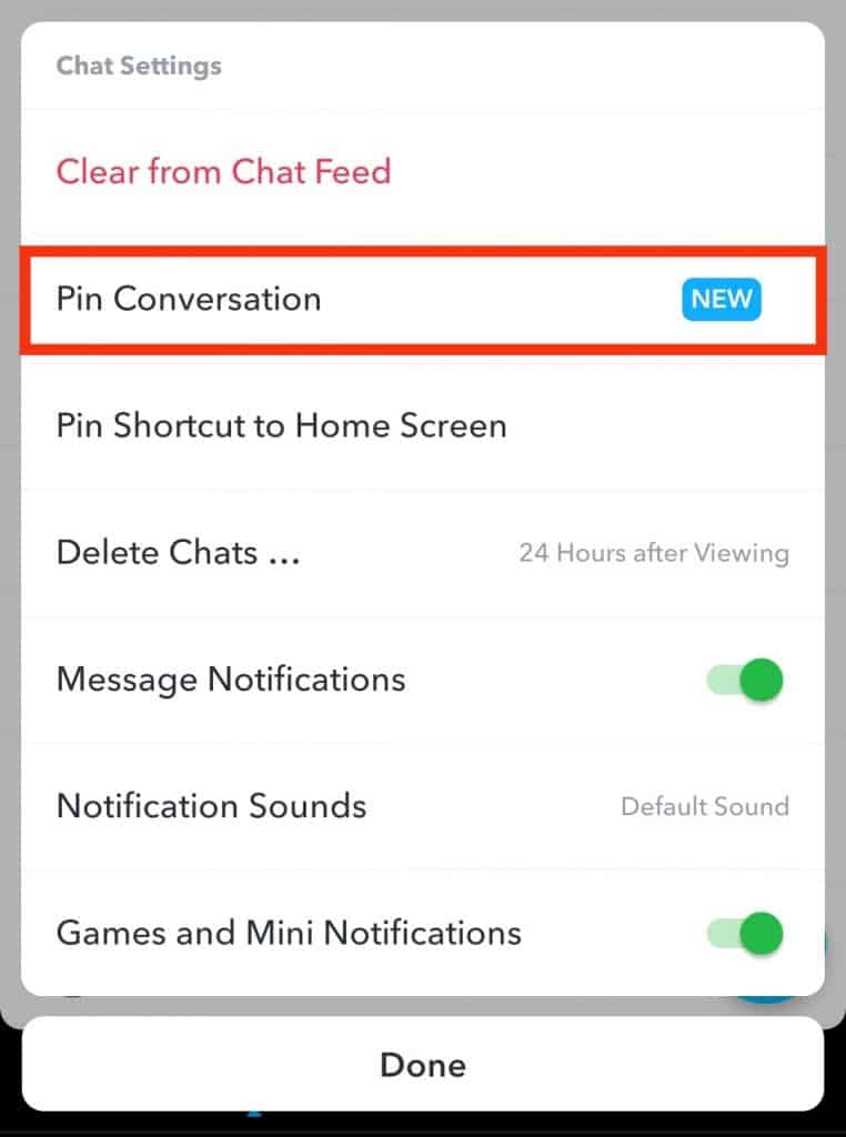 What Does "Pin Conversation" Mean on Snapchat? ITGeared
