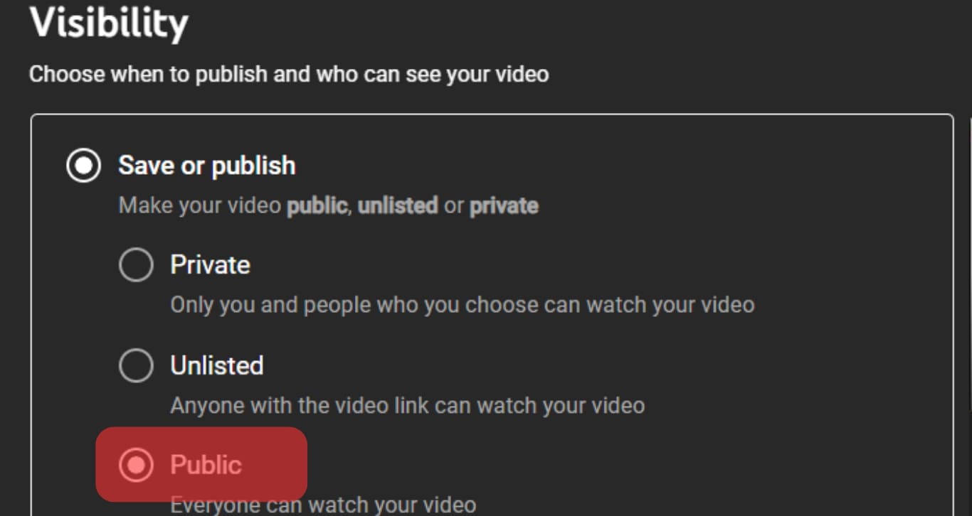 Choose Public To Show To Youtube Users