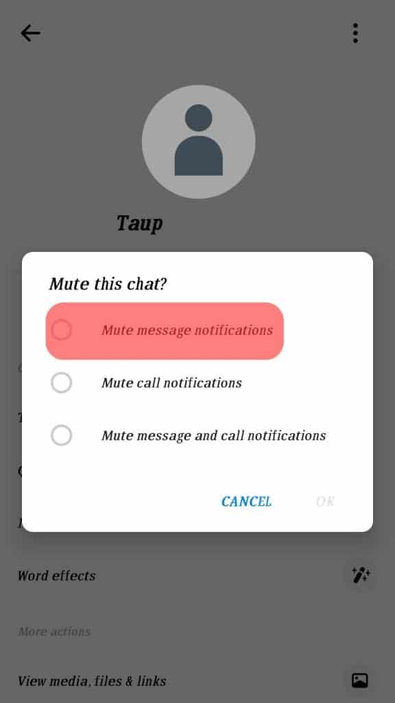 How To Find Muted Conversations on Facebook Messenger ITGeared