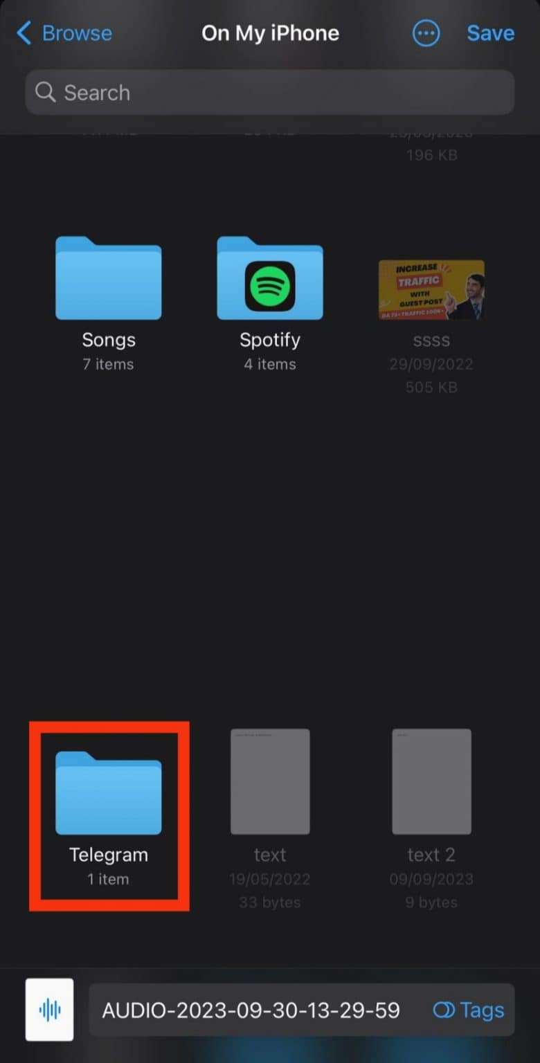 Where Are WhatsApp Audio Files Stored in iPhone? ITGeared