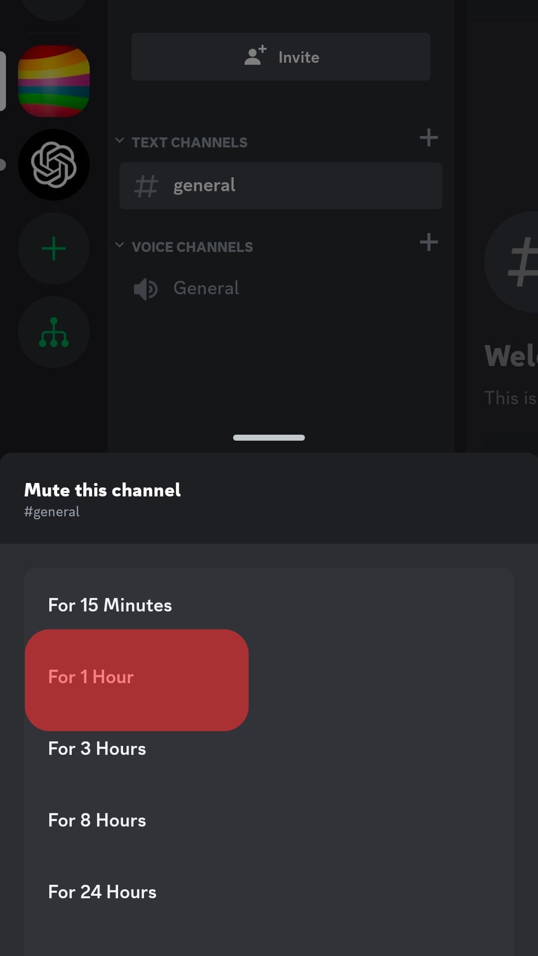 Choose The Duration To Mute