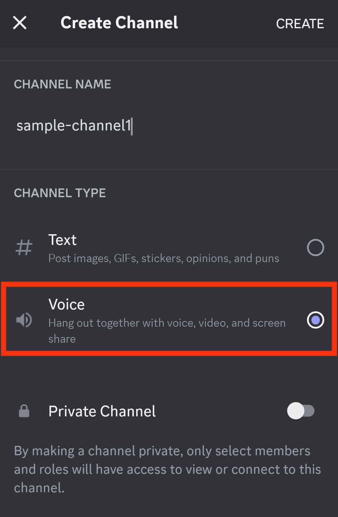 Choose The Voice Channel Option