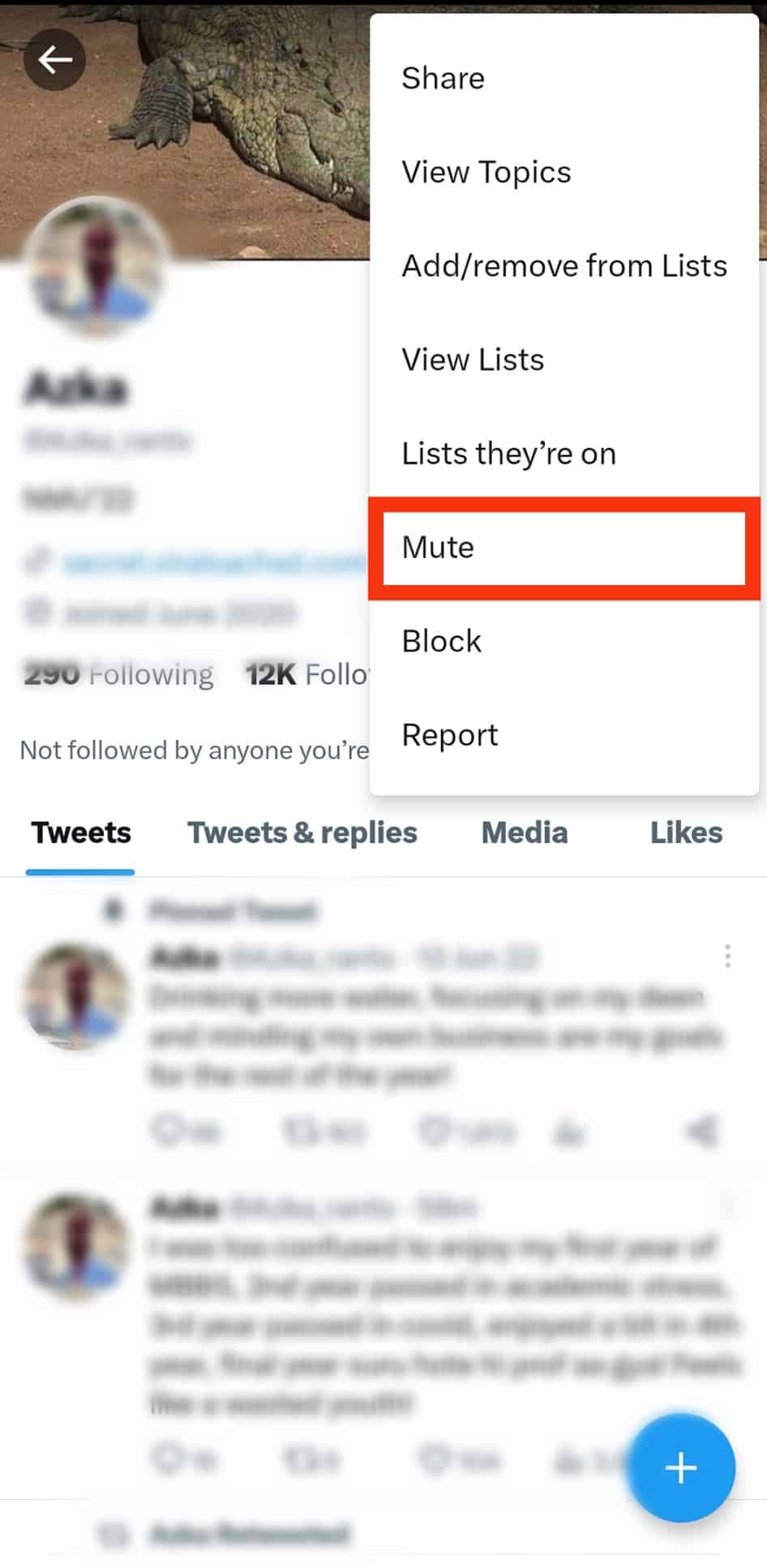 Click Mute In The Menu