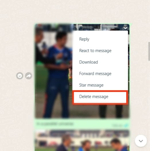 Click On ‘Delete Message.’