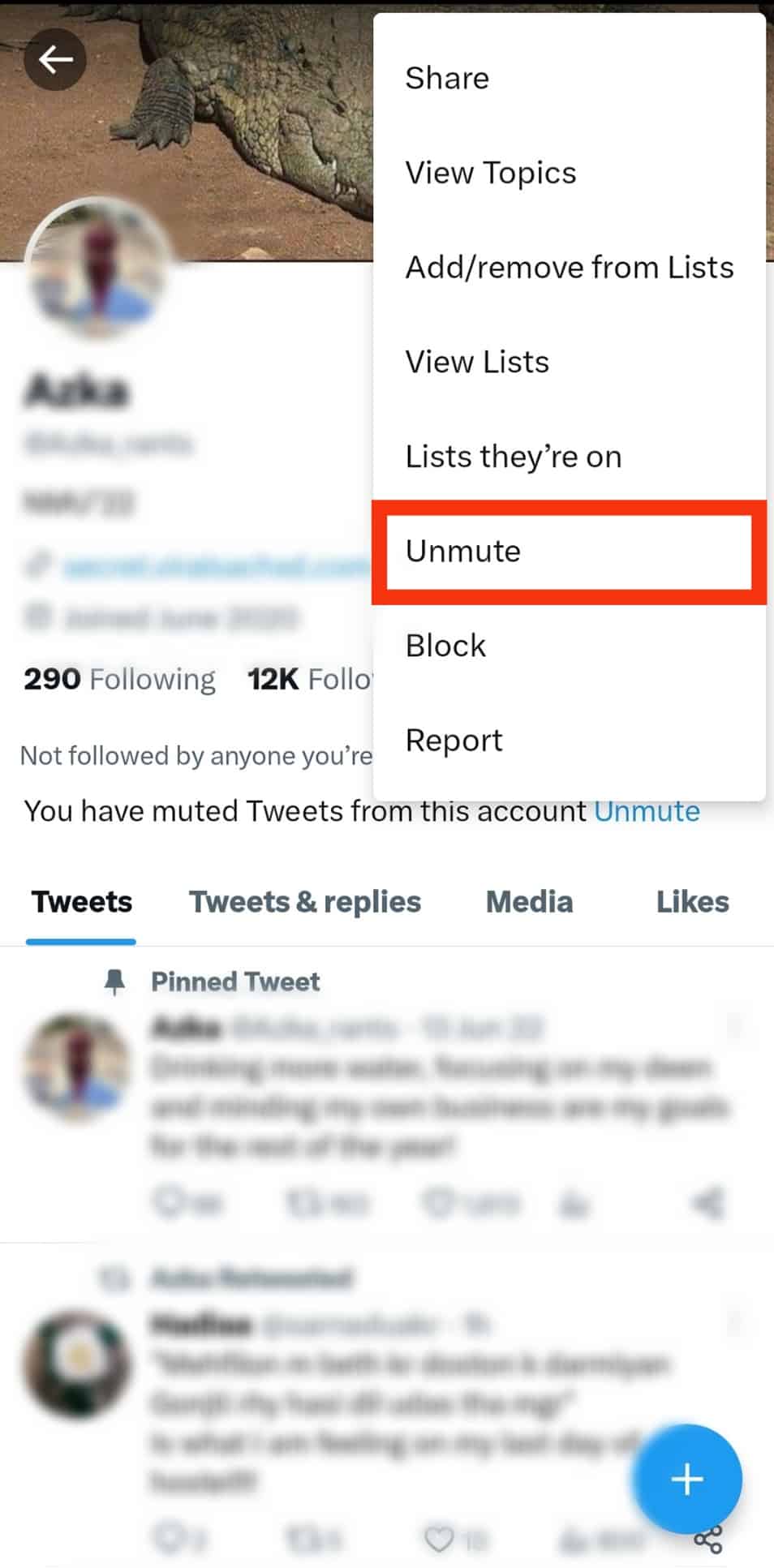 Click On Unmute