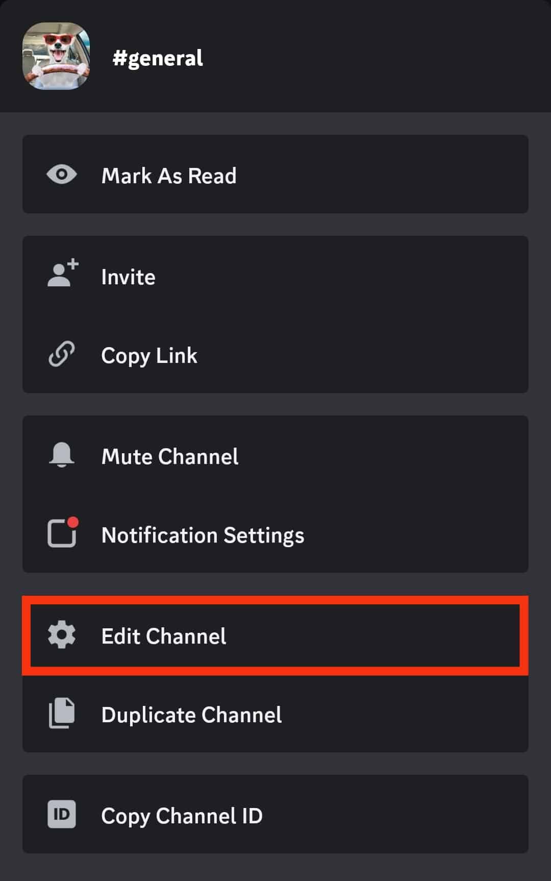 Click On The Edit Channel Option