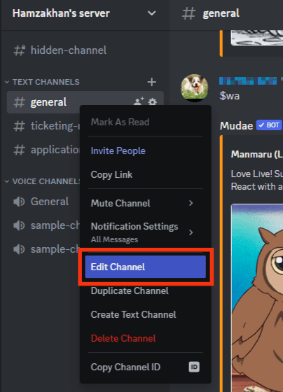 Click On The Edit Channel Option