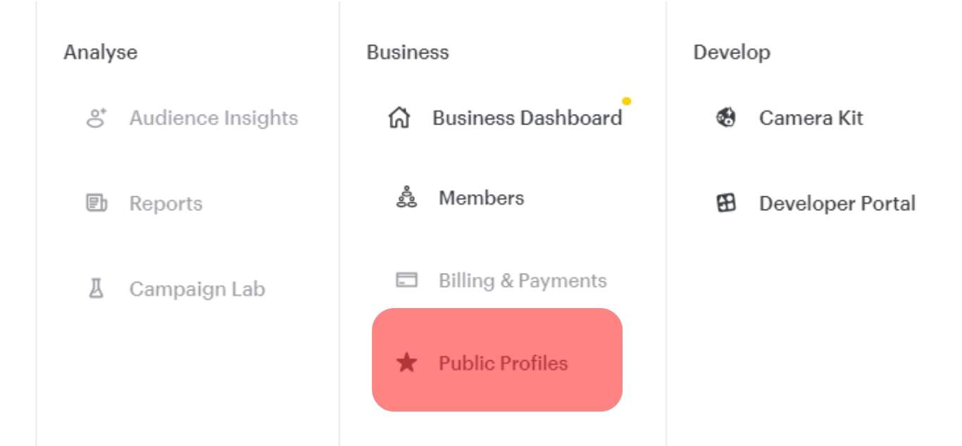 Click On The Public Profiles Option In The Business Section.