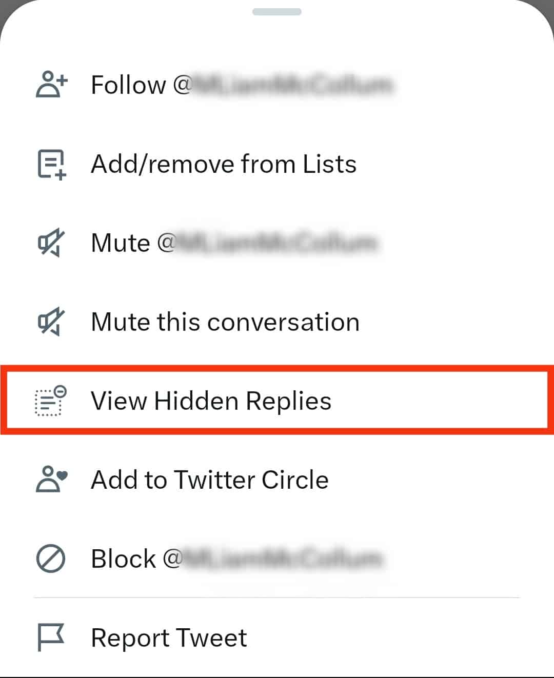 Click On The View Hidden Replies Option