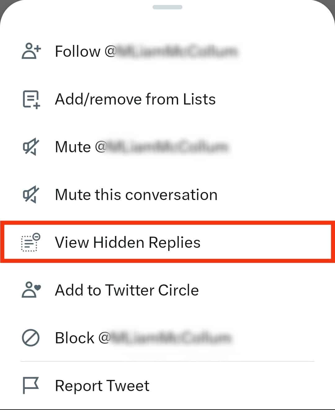 Click On The View Hidden Replies Option