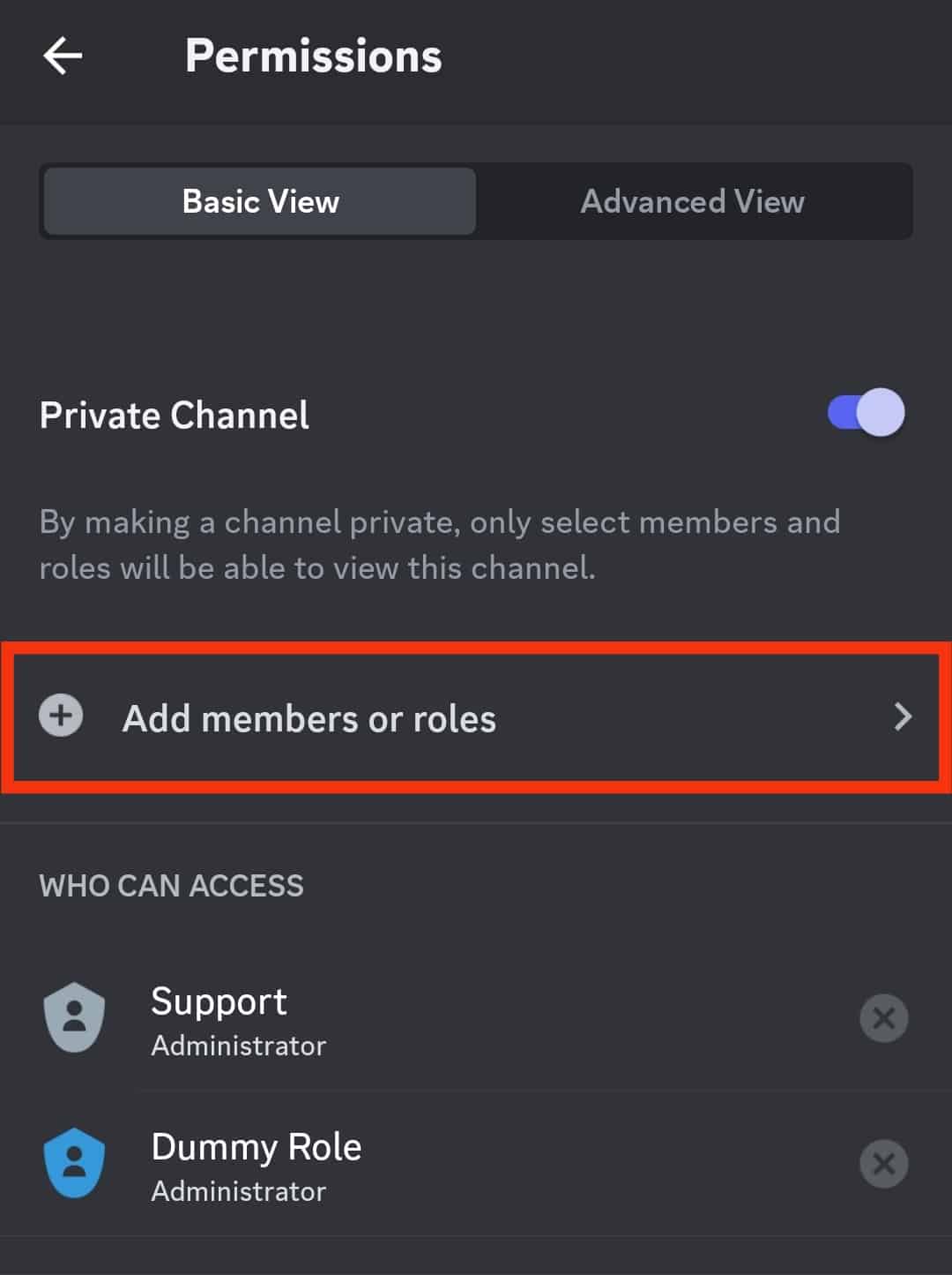 Click The Add Members Or Roles Option