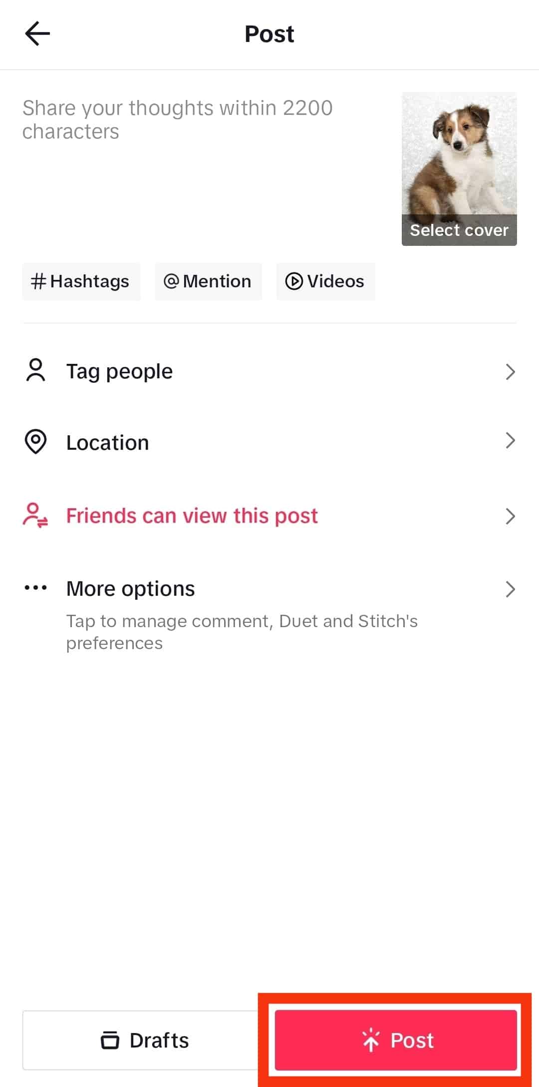 Click The Post Button To Upload On Tiktok