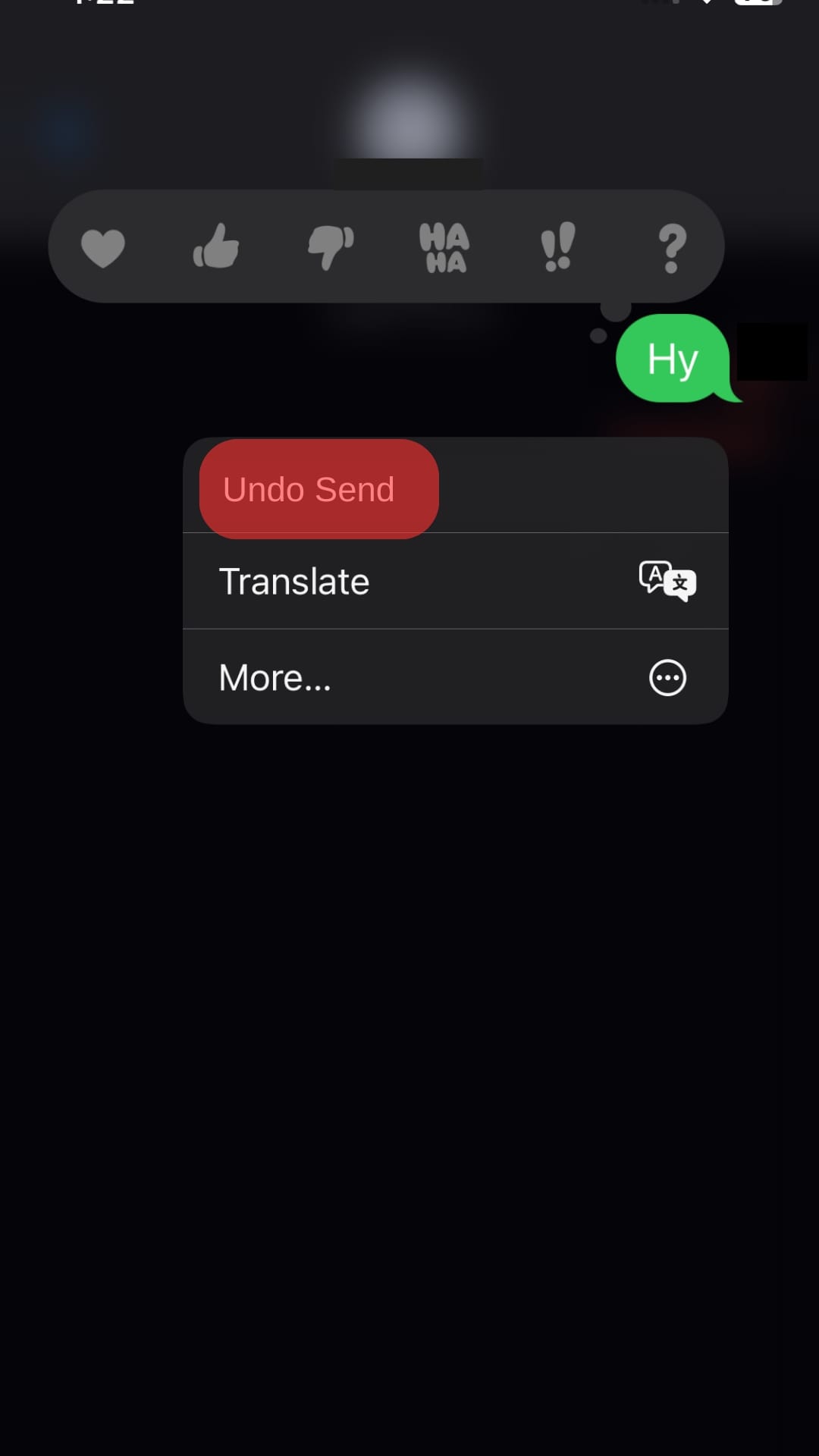 Click The Undo Send Option