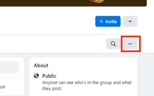 Click The Three Dots Under The Invite Button