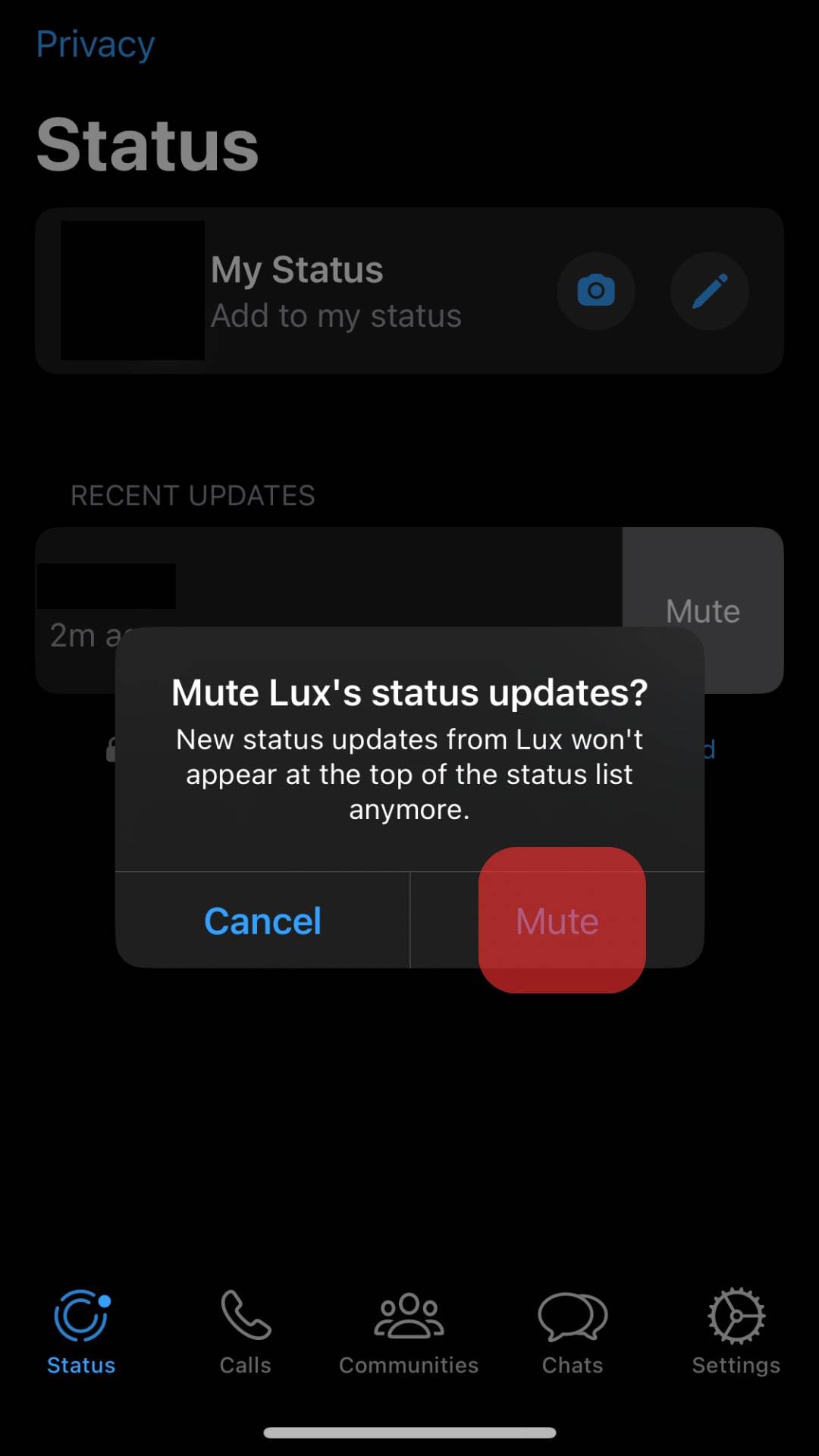 Confirm The Action By Tapping Mute Again.