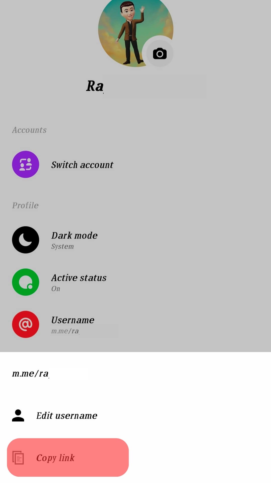 Copy Paste The Profile Link