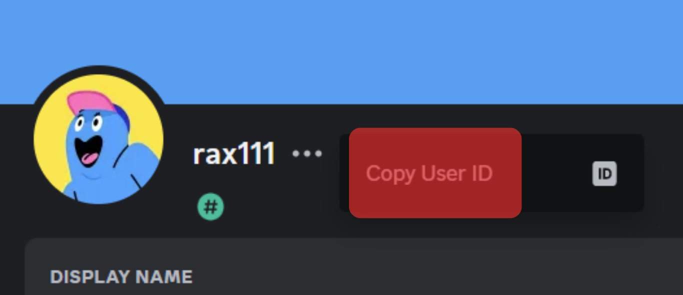 Copy Your Id Discord