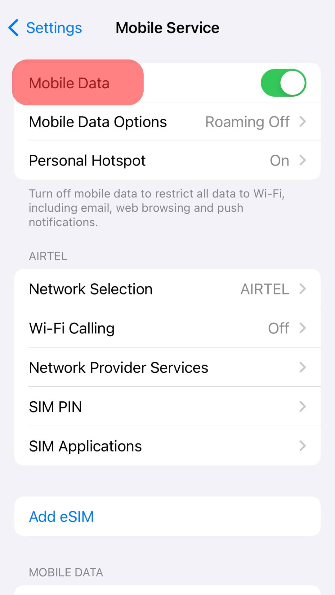Enable The Mobile Data Option.