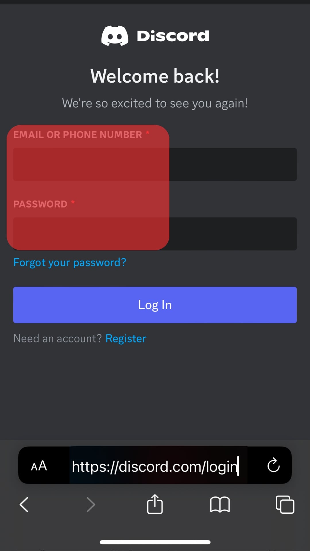 Enter The Discord Credentials To Log In