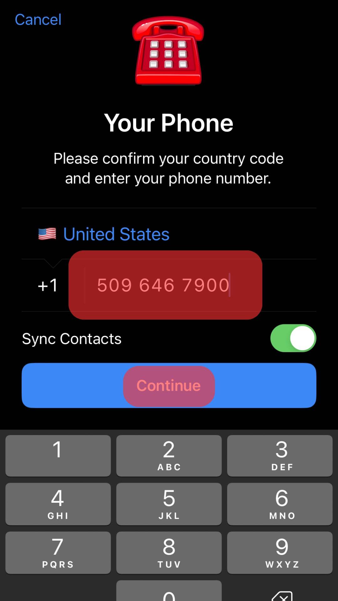 Enter The Fake Number Generated