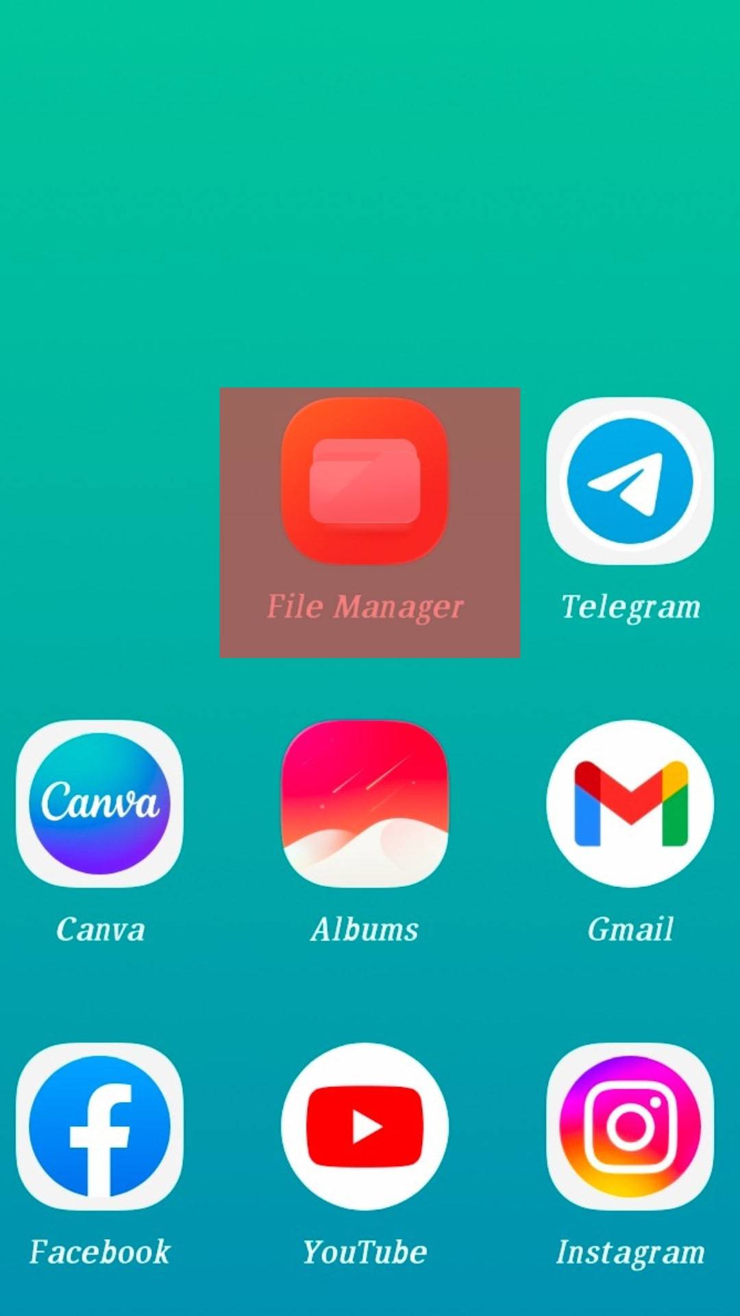 File Manager On Phone