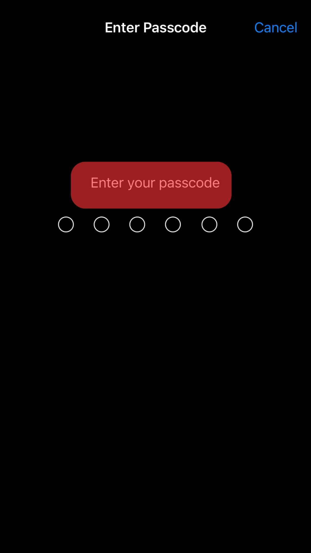 Fill In Your Passcode To Authorize The Resetting. 