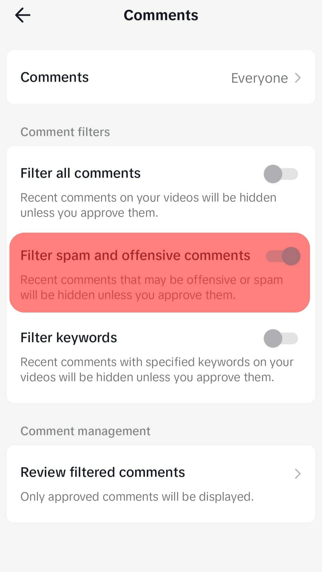 Filter Spam And Offensive Comments Option.