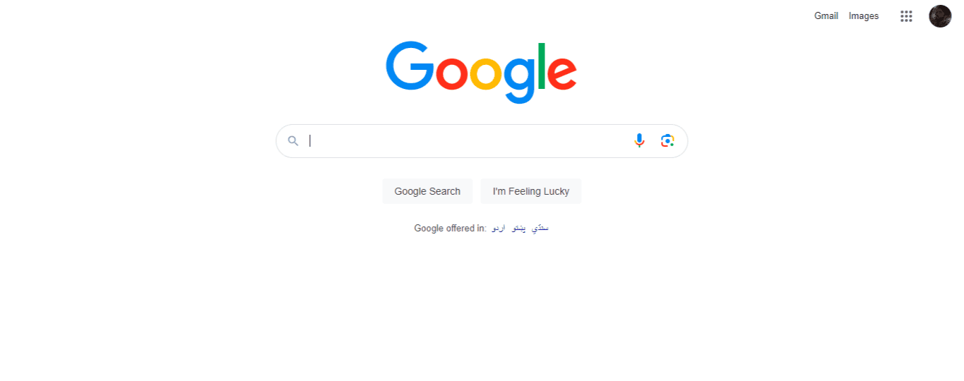 Go To The Google Homepage