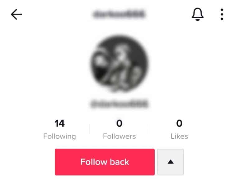 can-you-see-who-stalks-your-tiktok-itgeared