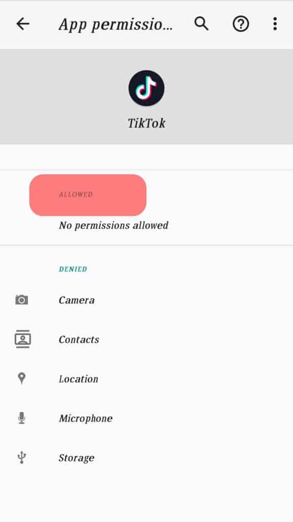 Grant Tiktok The Required Permissions