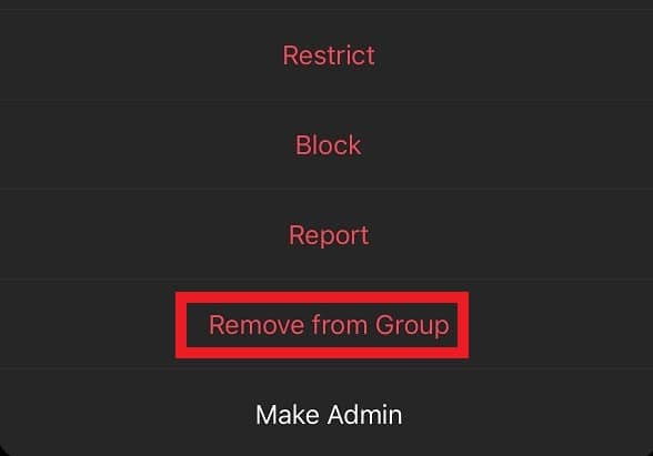 Instagram Group Chat Member Options