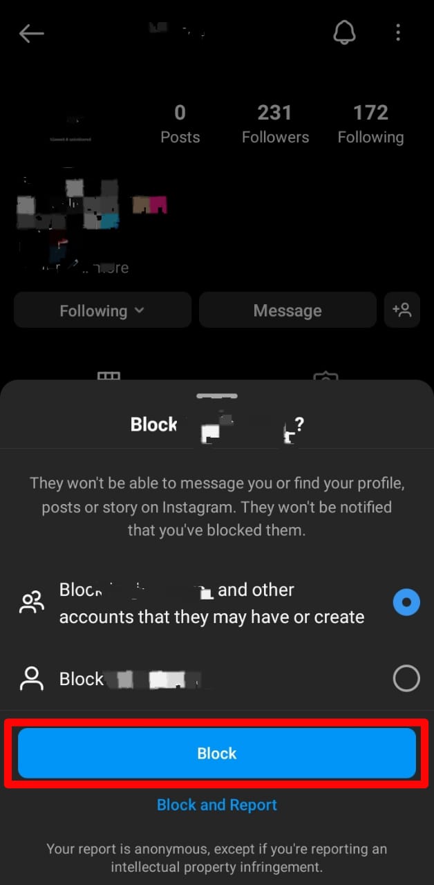 Instagram Confirm Block User