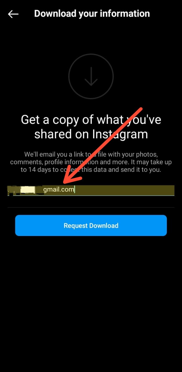 Instagram Download Your Information Enter Email Address