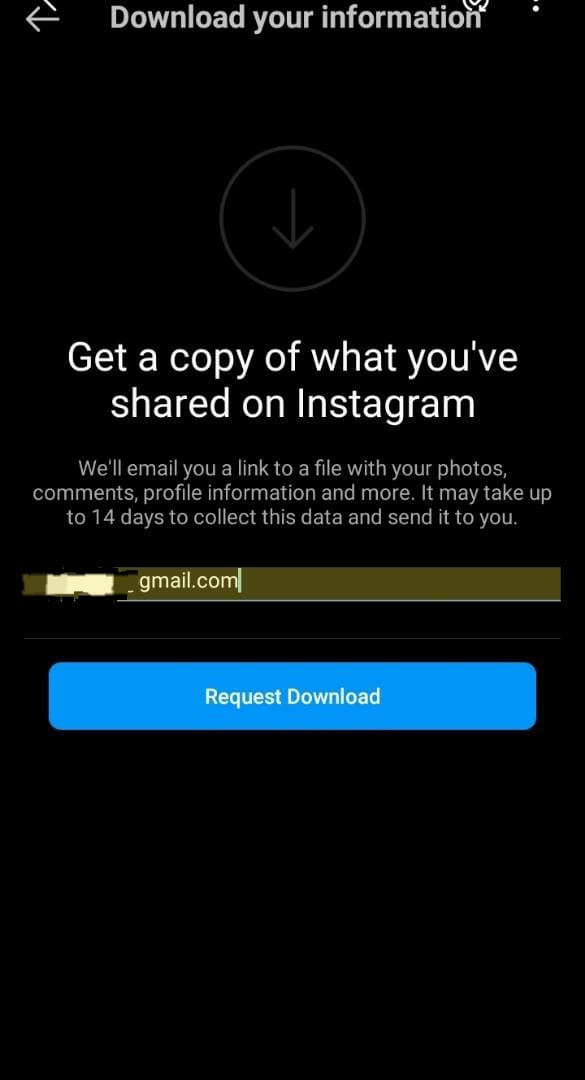 Instagram Request Download Your Information