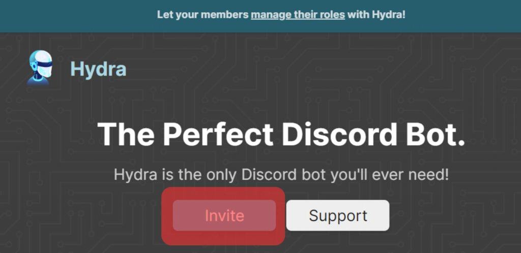 Invite The Bot To Your Server