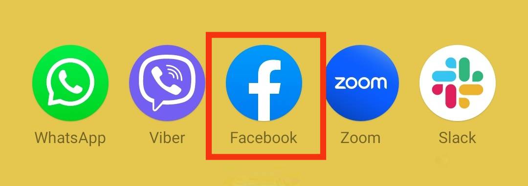 Long Press On The Facebook App Icon