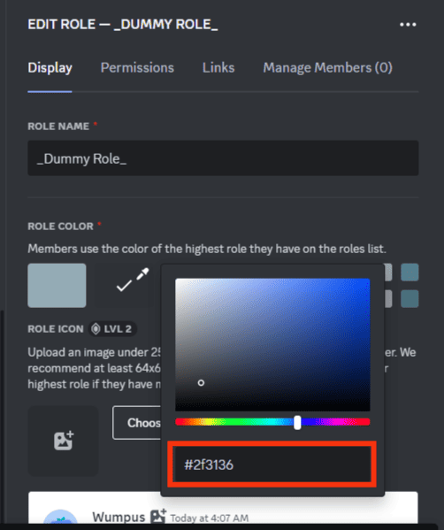 Make The Role Invisible Using The #2F3136 Color