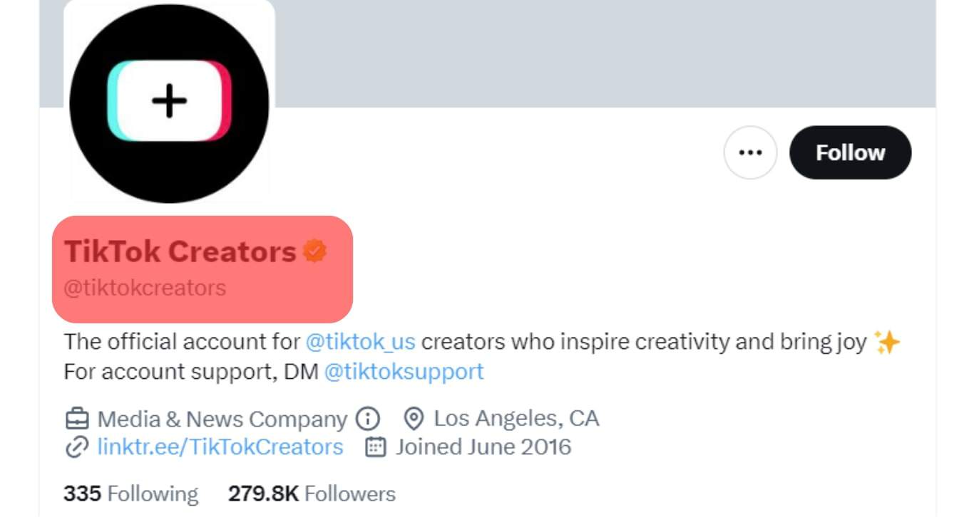 How Long Do Appeals Take on TikTok? ITGeared