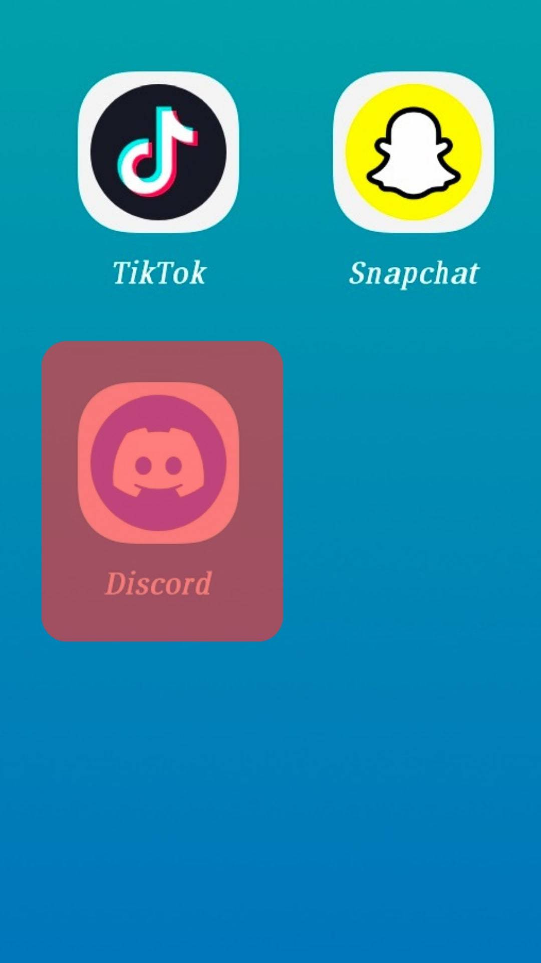 Open The Discord App Mobile