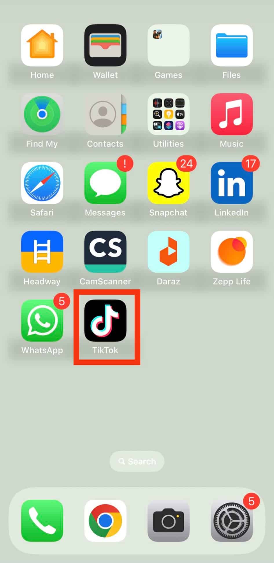 Open The Tiktok App On Your Iphone