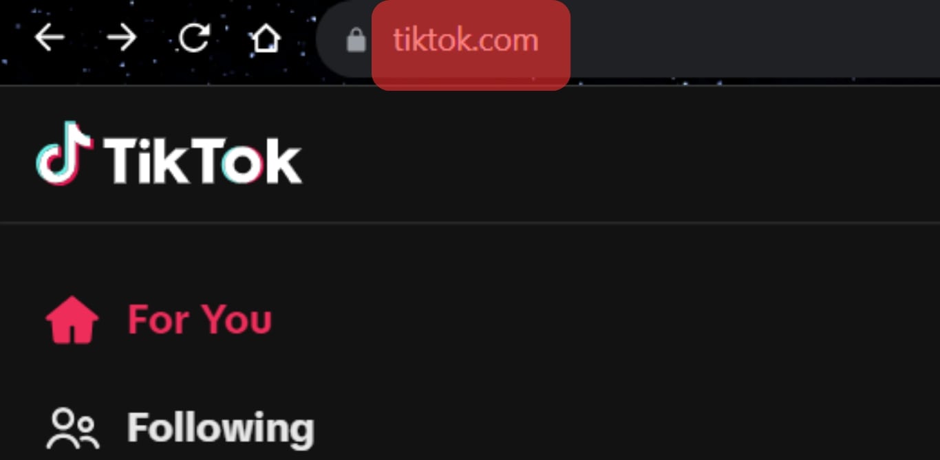 Open Tiktok.com