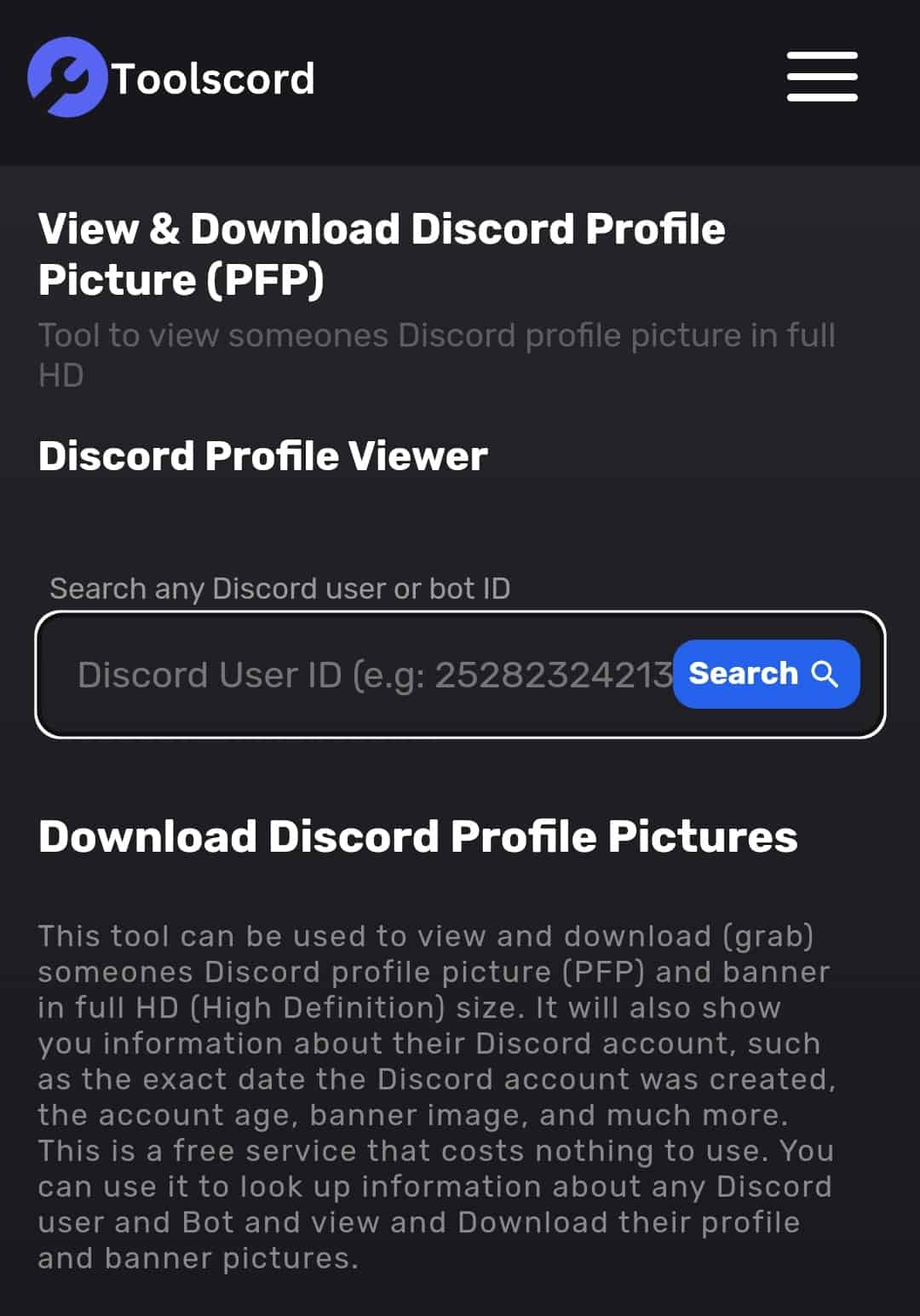 Open Your Browser And Access The Discord Profile Viewer Page